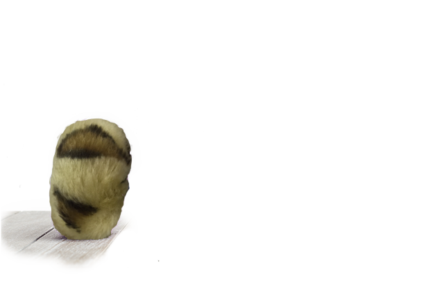Head
